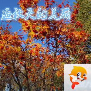 雪儿🎤V娱热点