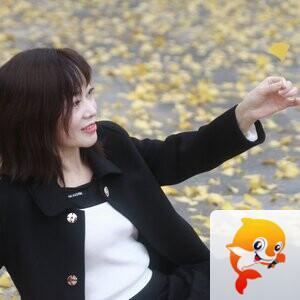 钢的琴【美摄视界】