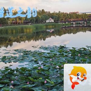 雪儿🎤V娱热点