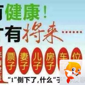 苦丁茶