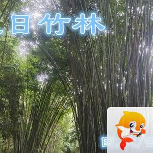 雪儿🎤V娱热点