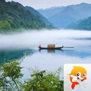 荷塘月色