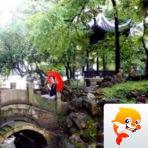 高国放