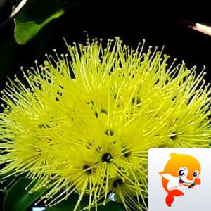 玛玎【美摄视界】