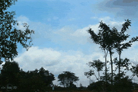 首发05生命里有风有雨更有阳光77