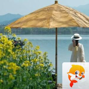 小浅🎤V娱热点