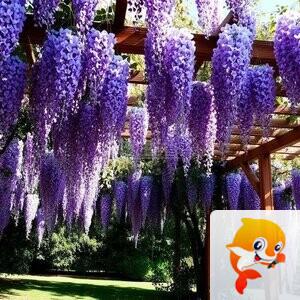 小浅🎤V娱热点