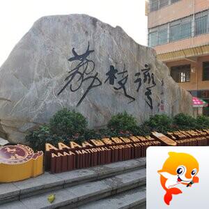 心怡【美摄视界】