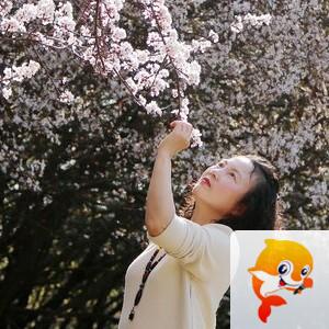 美美🍃【美摄视界】