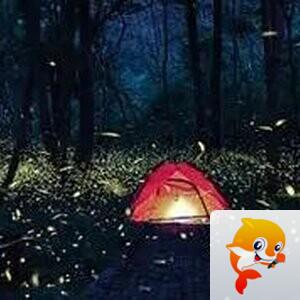 曾经🎤V娱热点