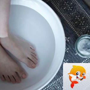 原创天地红尘家族 -红尘