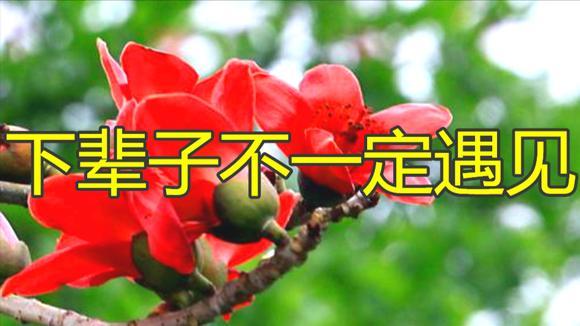 下辈子不一定遇见