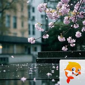 小浅🎤V娱热点