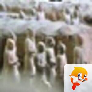 🕸盘丝洞🕷洞主💫Star