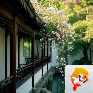 小浅🎤V娱热点