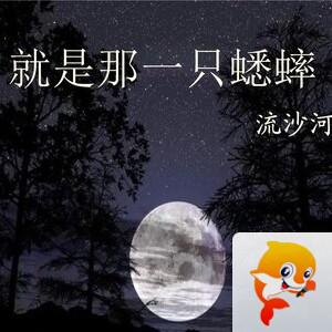 🌹燕子雅暄【文声汇影】