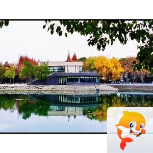 同同•馨馨【美摄视界】