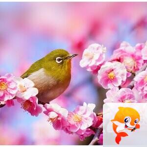 醉花仙【美摄视界】