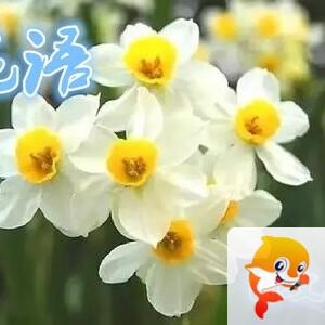 雪儿🎤V娱热点