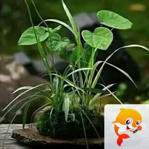 曾经🎤V娱热点