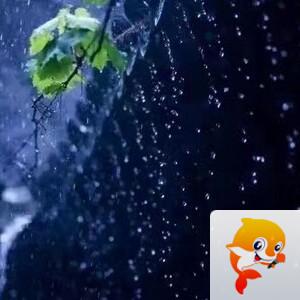 曾经🎤V娱热点