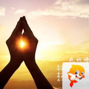 乔安