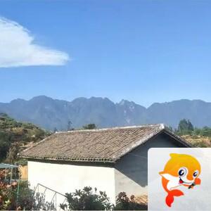 向日葵🎤V娱热点