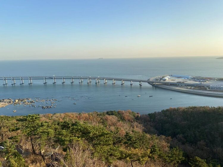 儿子翟家骏和法学院院长申卫星,导师陈新宇,同学寥莹,杨同宇合写的