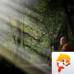 怡然【情暖天涯】