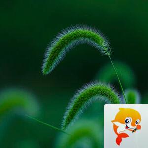 小菌【美摄视界】