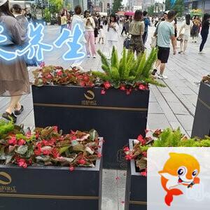 雪儿🎤V娱热点