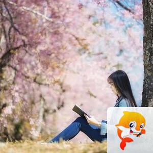 小浅🎤V娱热点