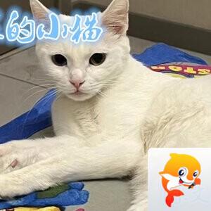 雪儿🎤V娱热点