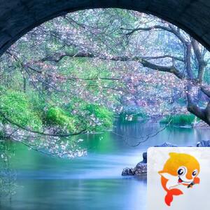 曾经🎤V娱热点