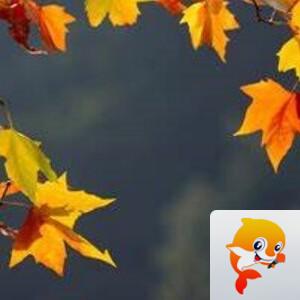 曾经🎤V娱热点