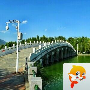东岳翻腾