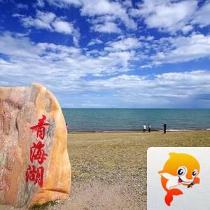 【朗诵专区】心愿