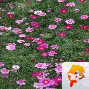 曾经🎤V娱热点