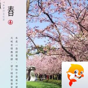 老书生【西窗剪烛】