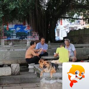 何乐而不为