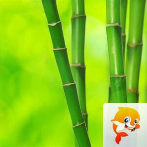 曾经🎤V娱热点