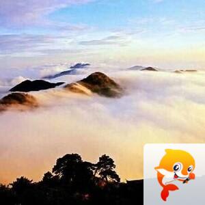 曾经🎤V娱热点