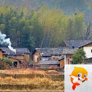 向日葵🎤V娱热点