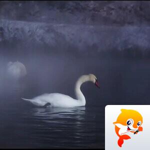 秋霞【美摄视界】