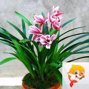 小浅🎤V娱热点