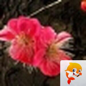 斯文笑脸【汤圆文学社】