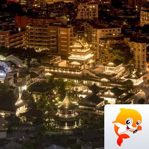 东张西望【美摄视界】