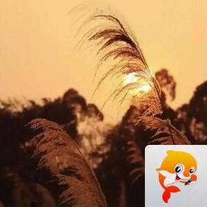 曾经🎤V娱热点