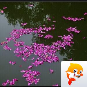 稳稳的幸福