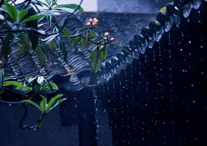 听雨作者刘东洋合诵晨臣赫宝庆